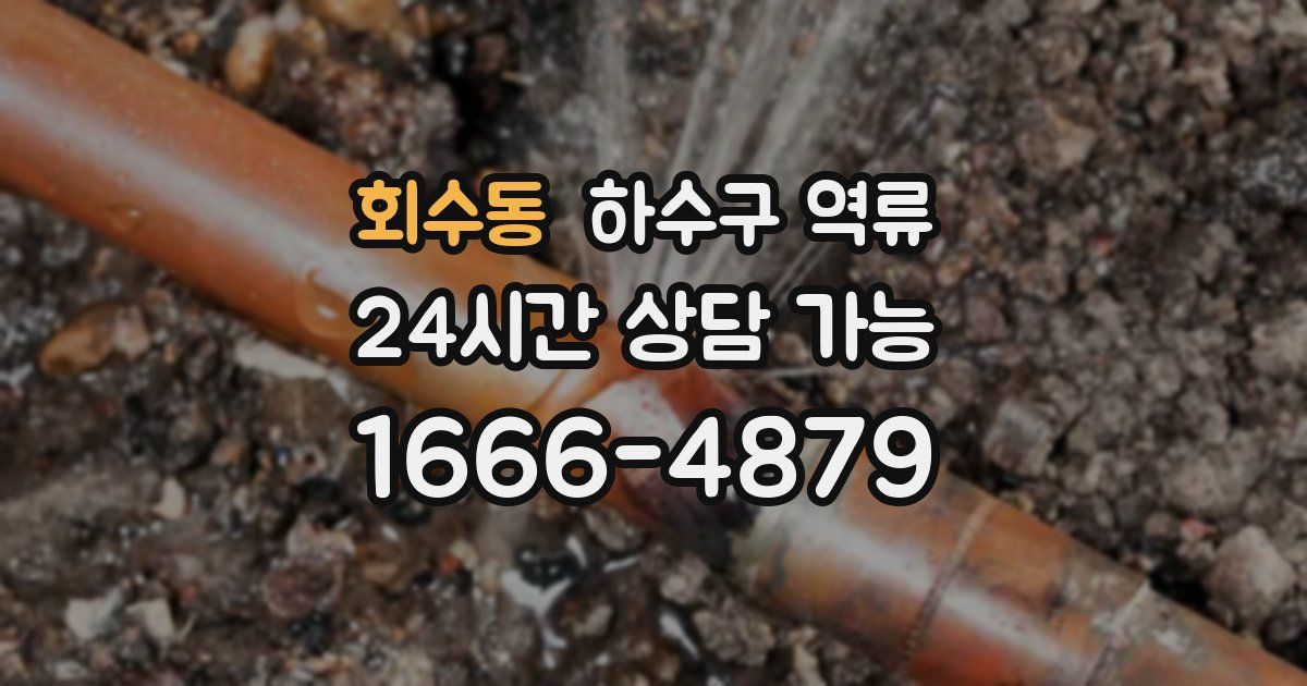 회수동 하수구 역류