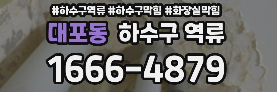 대포동 하수구 역류