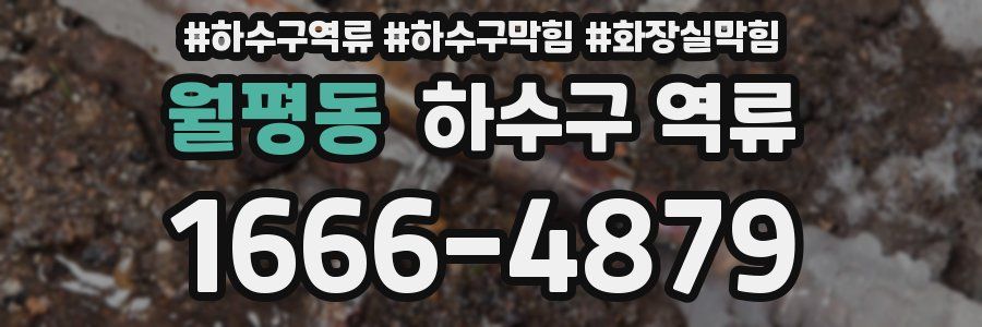 월평동 하수구 역류