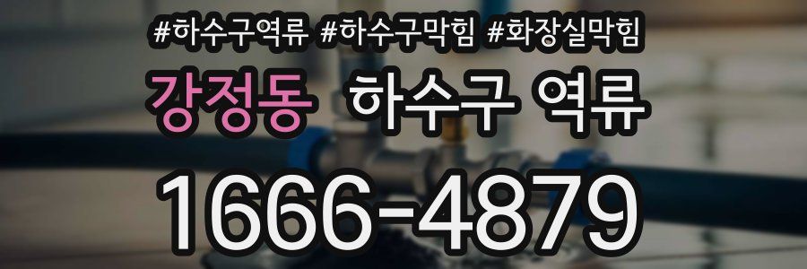 강정동 하수구 역류