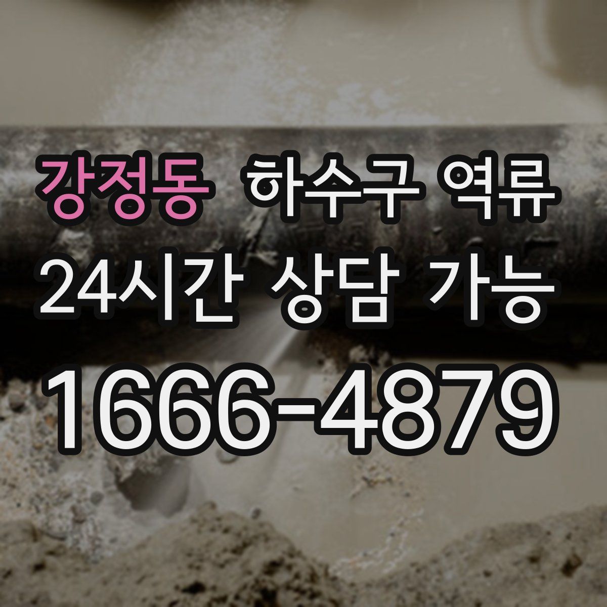 강정동 하수구 역류