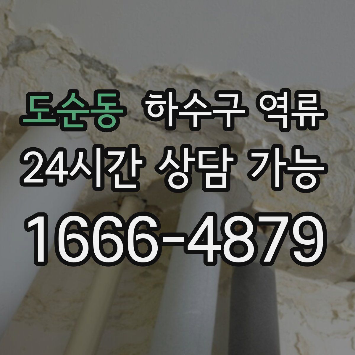 도순동 하수구 역류