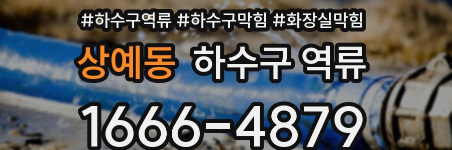 상예동 하수구 역류