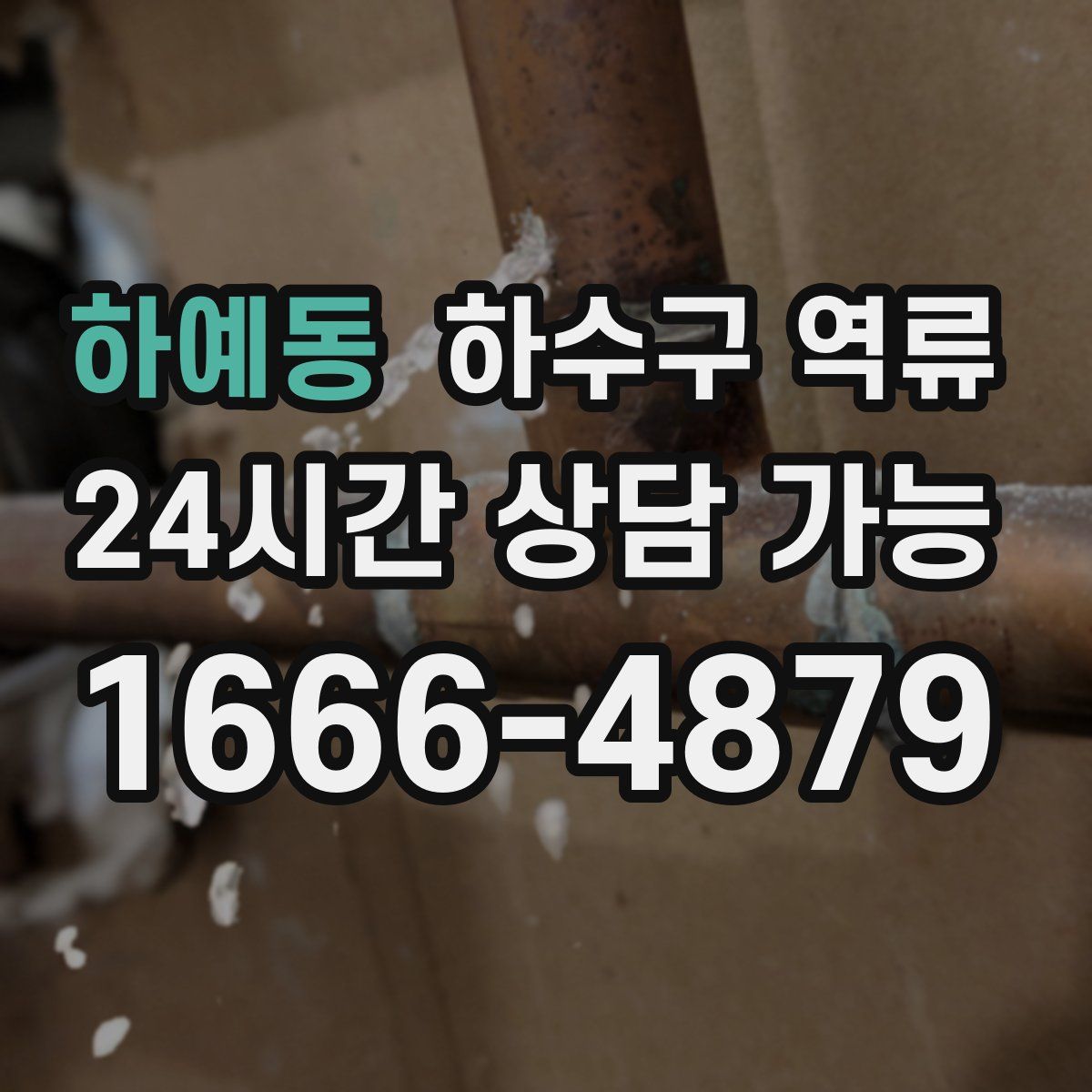 하예동 하수구 역류