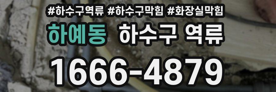 하예동 하수구 역류