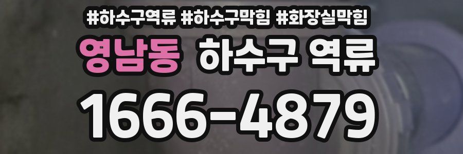 영남동 하수구 역류