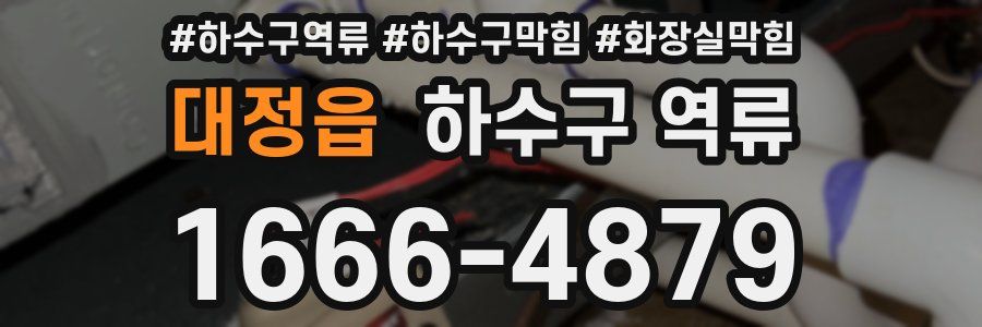 대정읍 하수구 역류