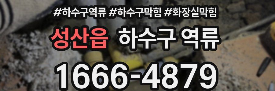 성산읍 하수구 역류