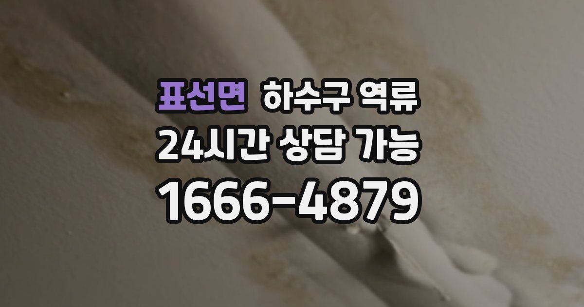 표선면 하수구 역류