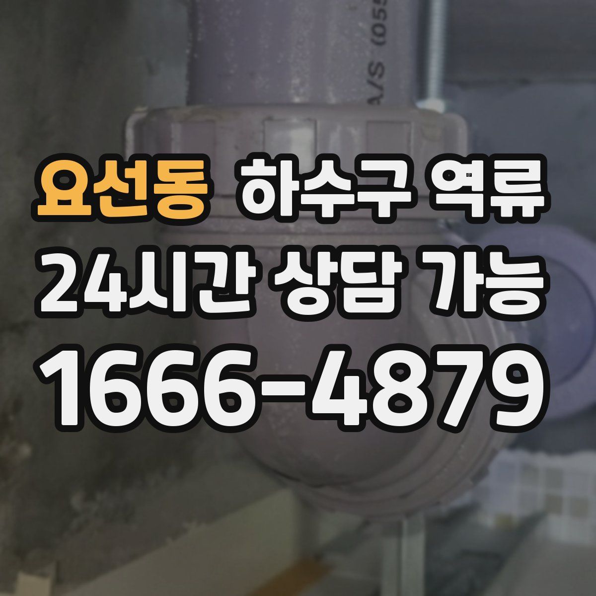 요선동 하수구 역류