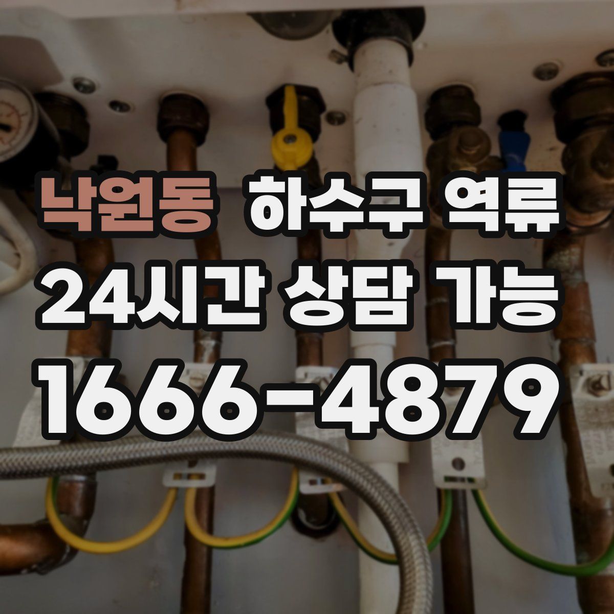 낙원동 하수구 역류