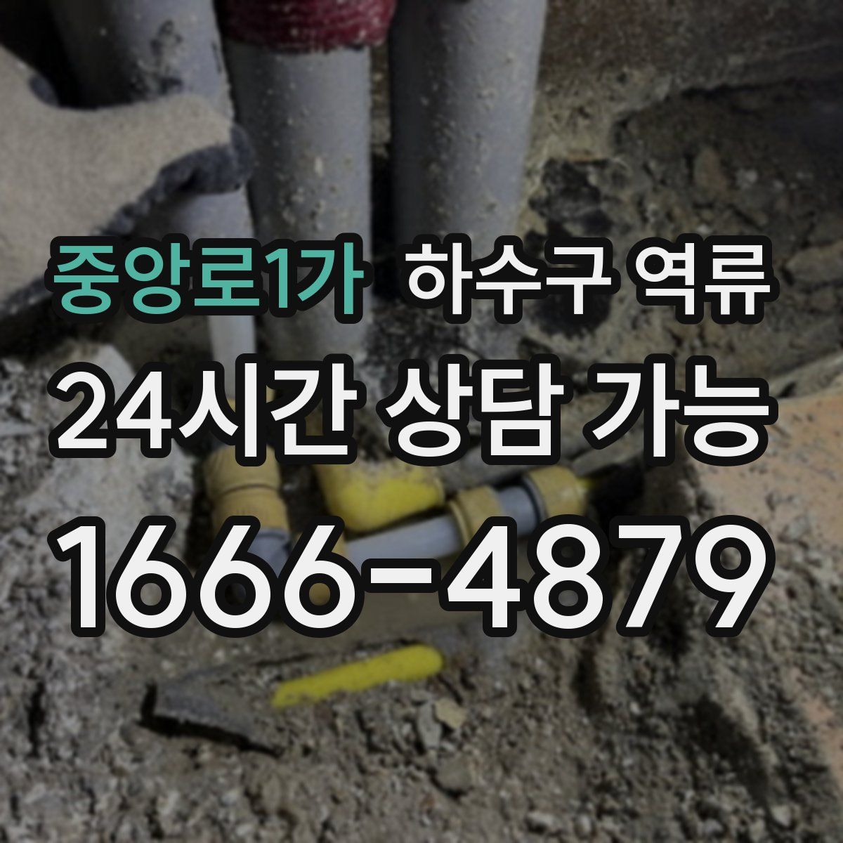 중앙로1가 하수구 역류