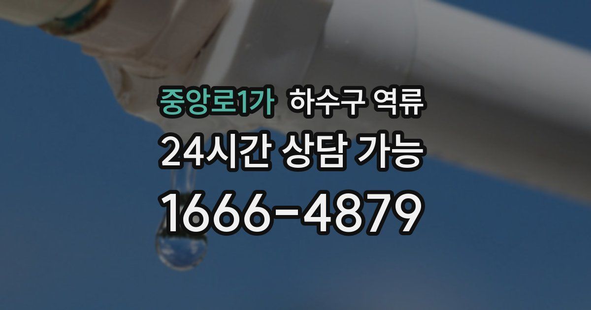 중앙로1가 하수구 역류