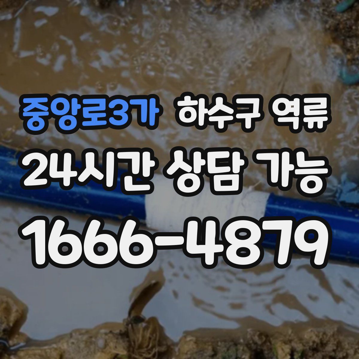 중앙로3가 하수구 역류