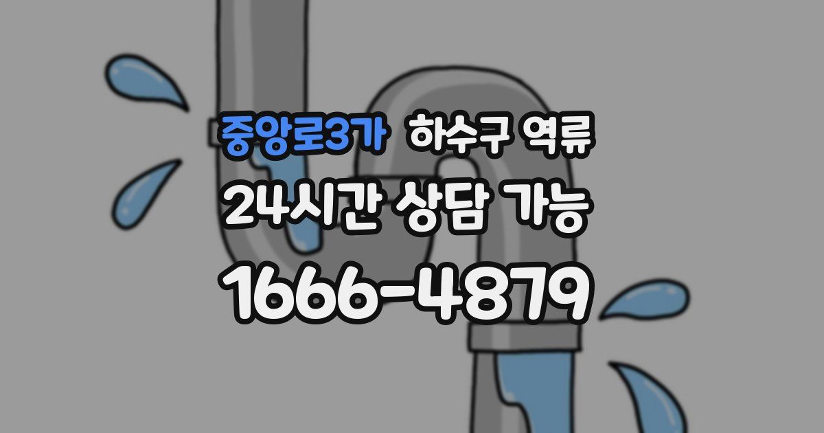 중앙로3가 하수구 역류