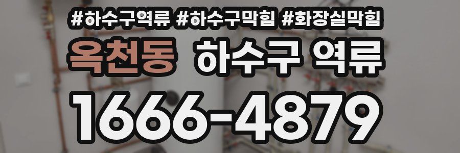 옥천동 하수구 역류