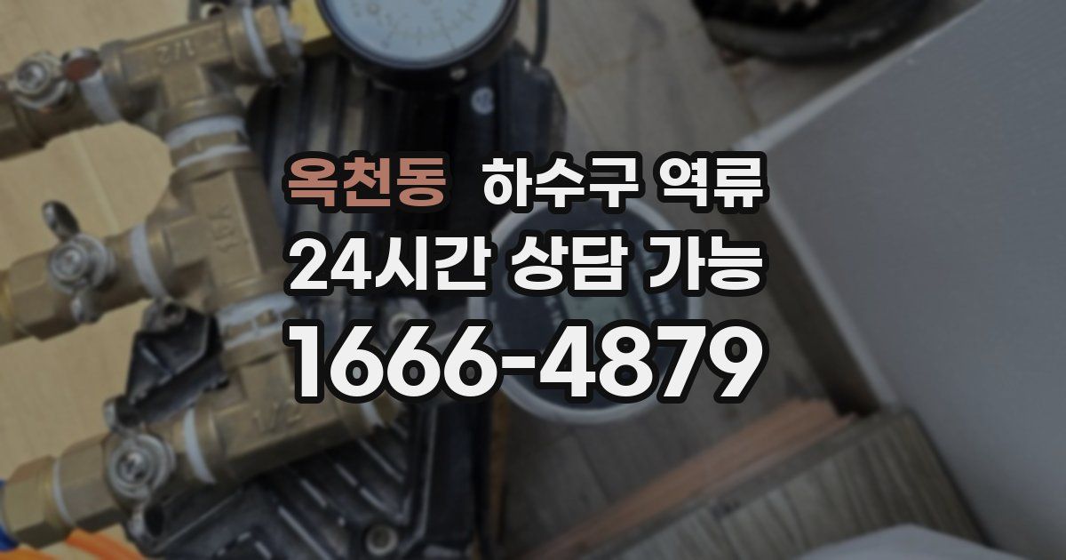 옥천동 하수구 역류