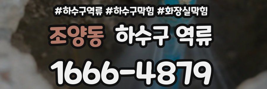 조양동 하수구 역류