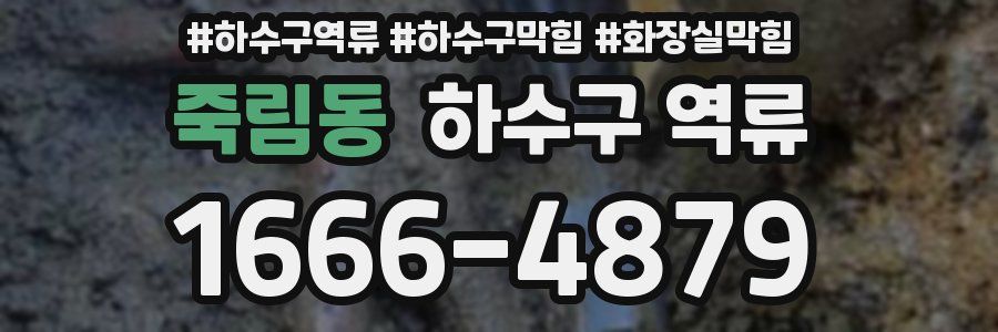 죽림동 하수구 역류