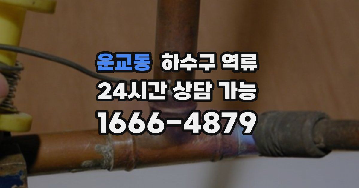 운교동 하수구 역류