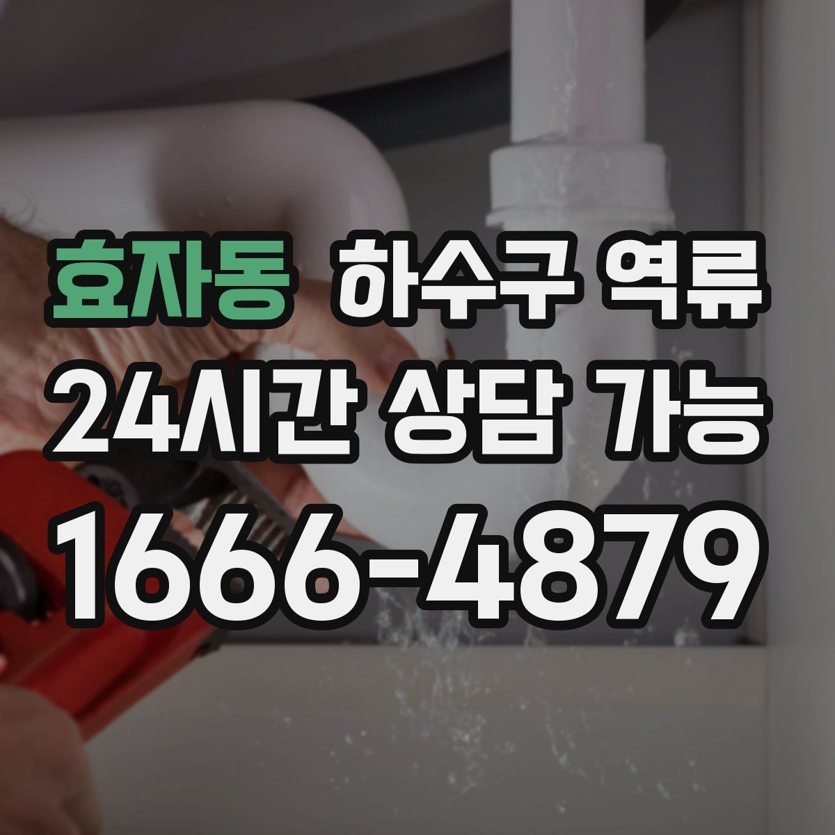 효자동 하수구 역류