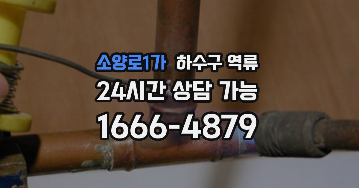 소양로1가 하수구 역류