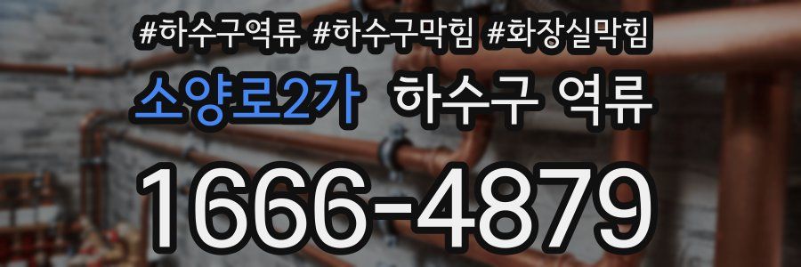 소양로2가 하수구 역류