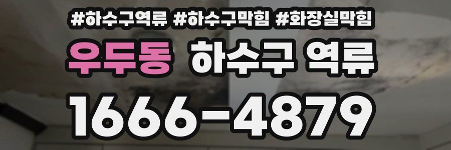 우두동 하수구 역류