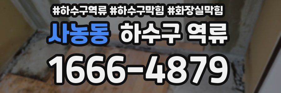 사농동 하수구 역류