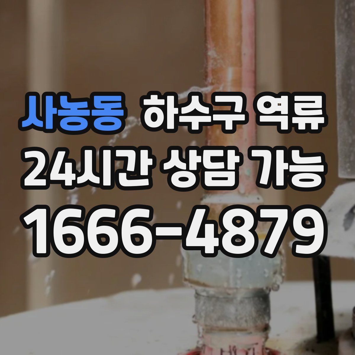 사농동 하수구 역류