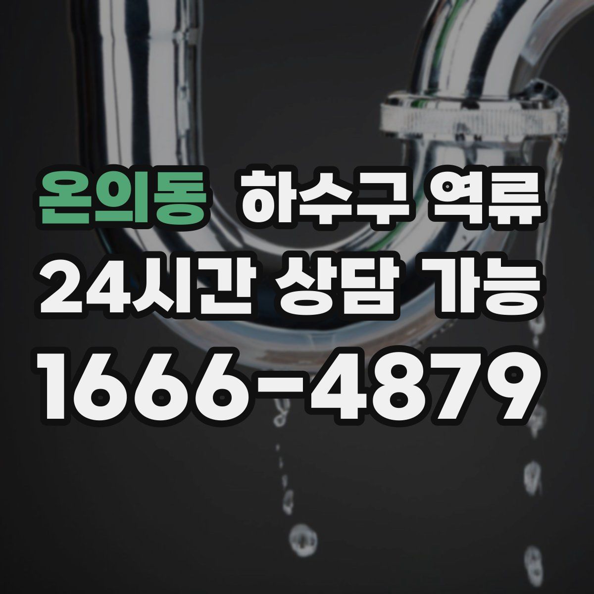 온의동 하수구 역류