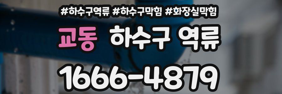 교동 하수구 역류