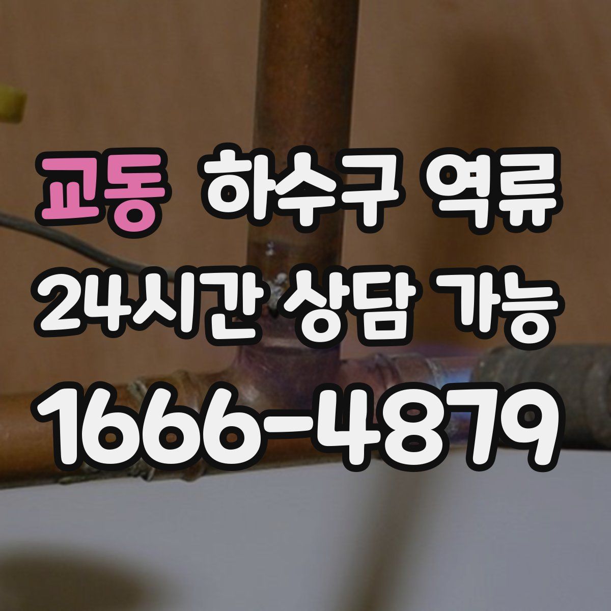 교동 하수구 역류