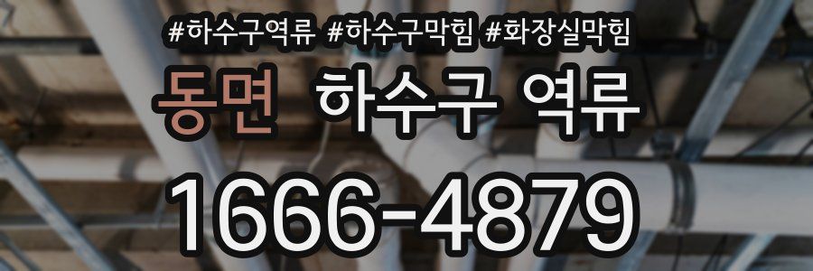 동면 하수구 역류
