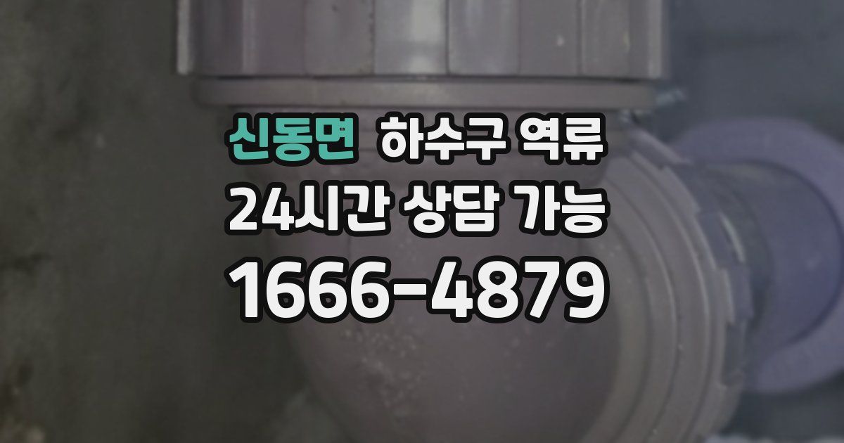 신동면 하수구 역류