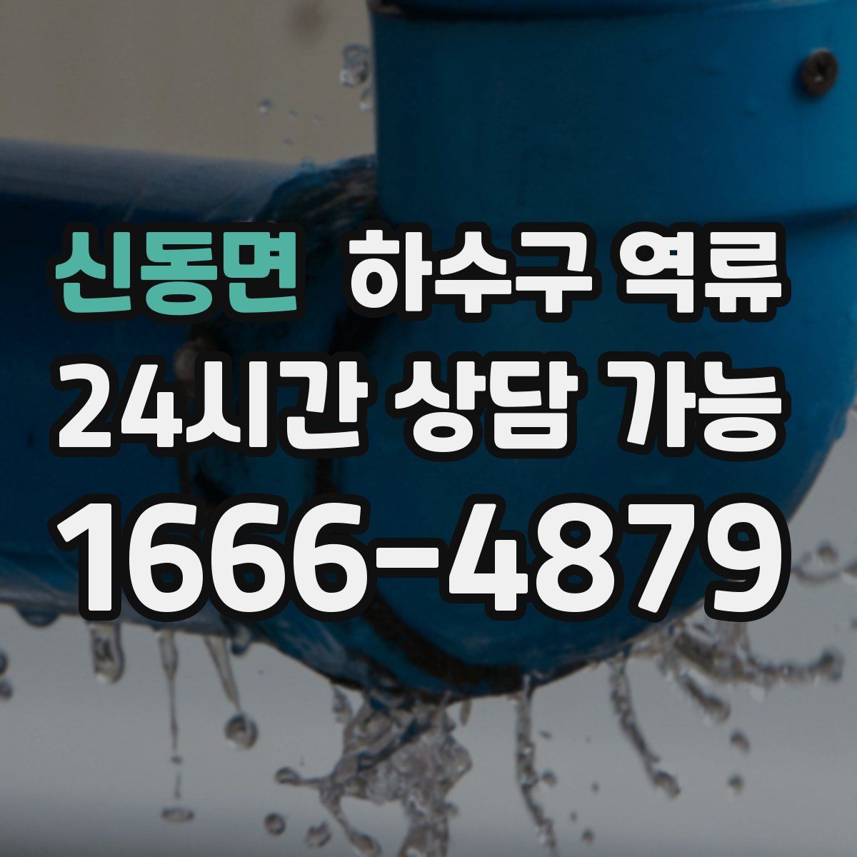 신동면 하수구 역류