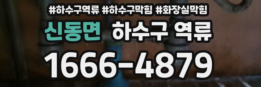 신동면 하수구 역류