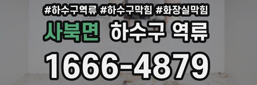 사북면 하수구 역류