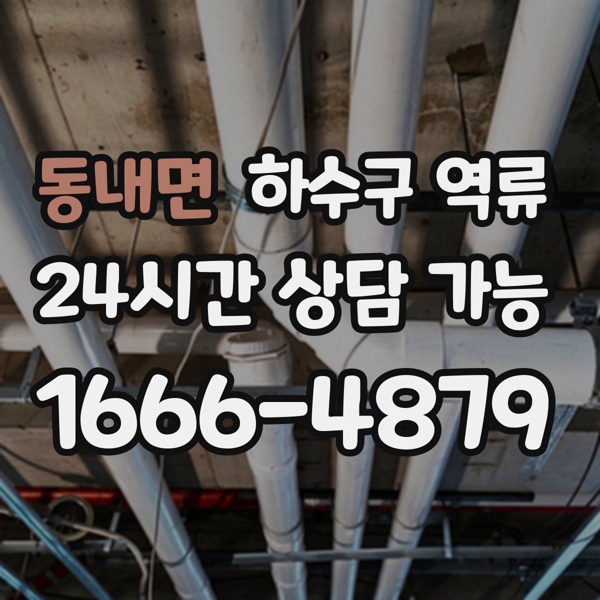 동내면 하수구 역류