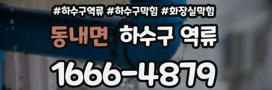 동내면 하수구 역류