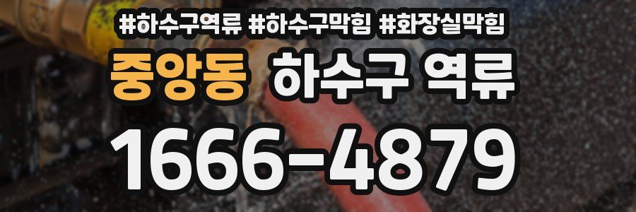 중앙동 하수구 역류