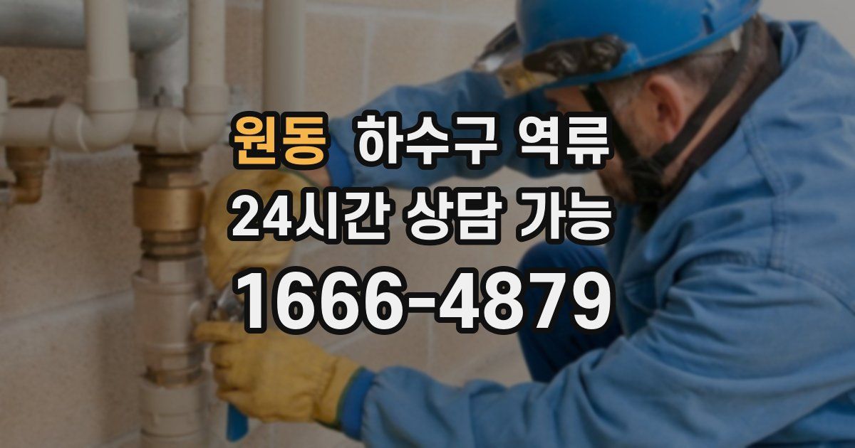 원동 하수구 역류