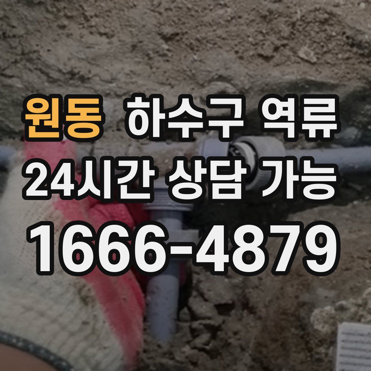 원동 하수구 역류