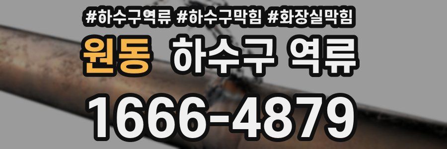 원동 하수구 역류