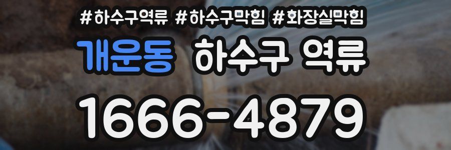 개운동 하수구 역류