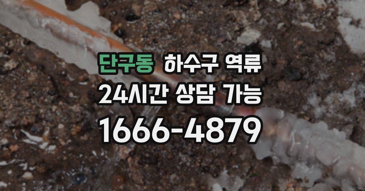 단구동 하수구 역류