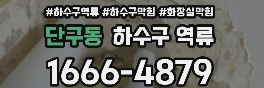 단구동 하수구 역류