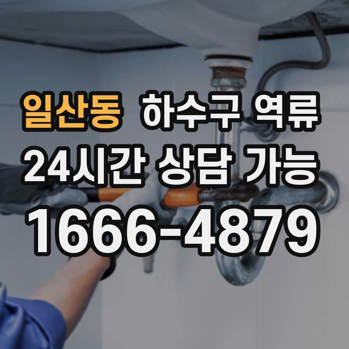 일산동 하수구 역류