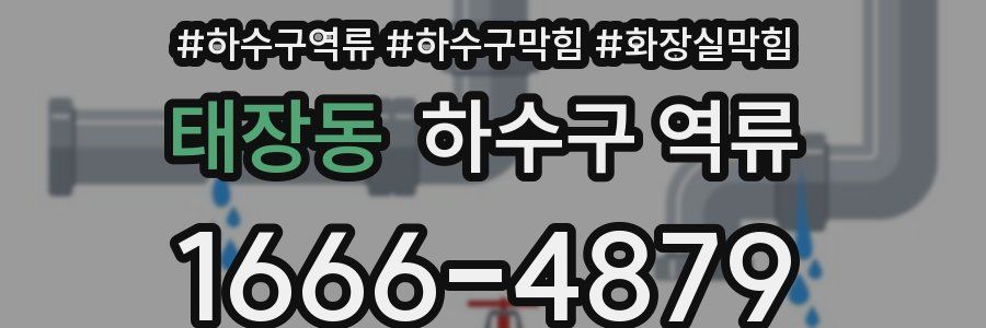 태장동 하수구 역류