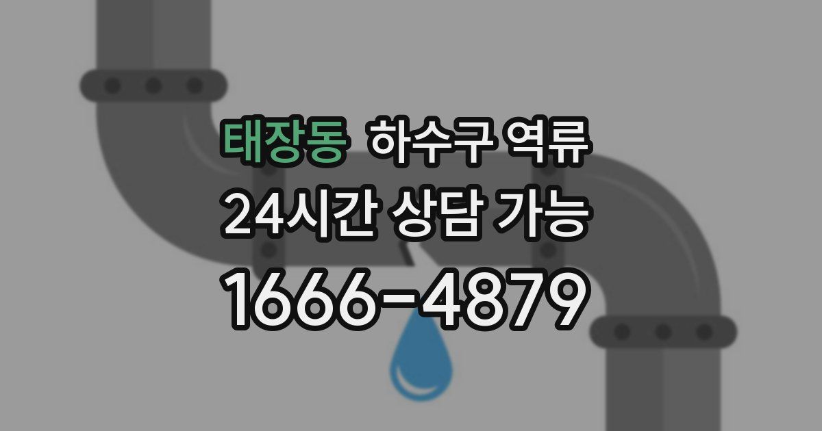 태장동 하수구 역류